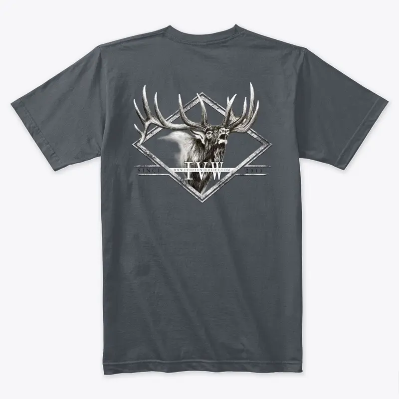 Screaming Bull Elk 